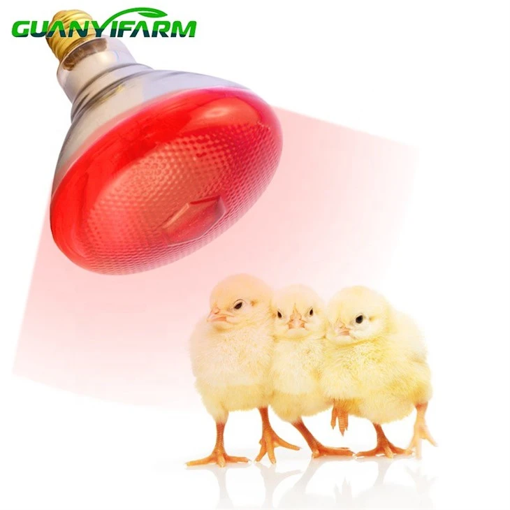 Infrared Heat Lamps