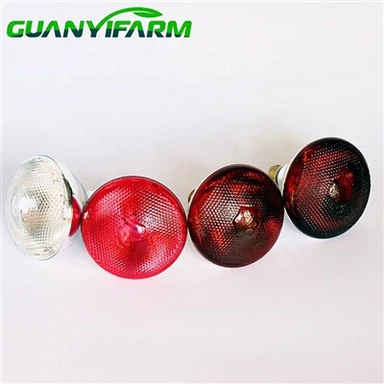 L-Annimali tad-Dwal tal-Milied Iżomm Tisħin tal-Lampa Infra-aħmar sħun