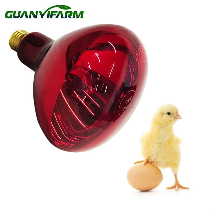Lampa Infra-aħmar Għall-Annimali