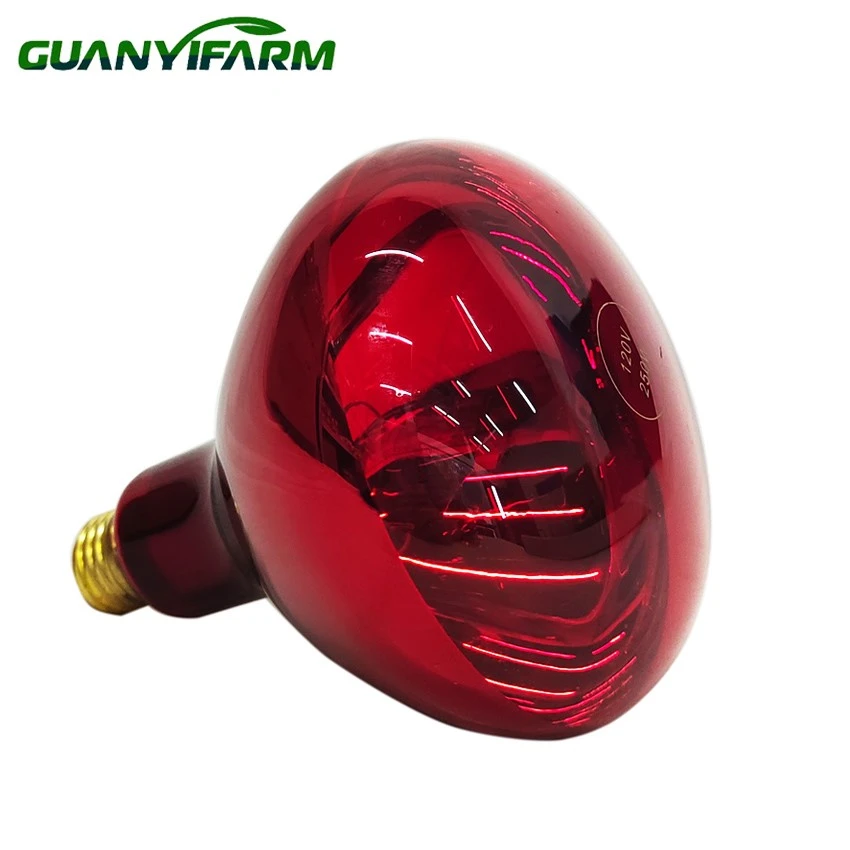 details of infrared lamp for animals details of infrared lamp for animals